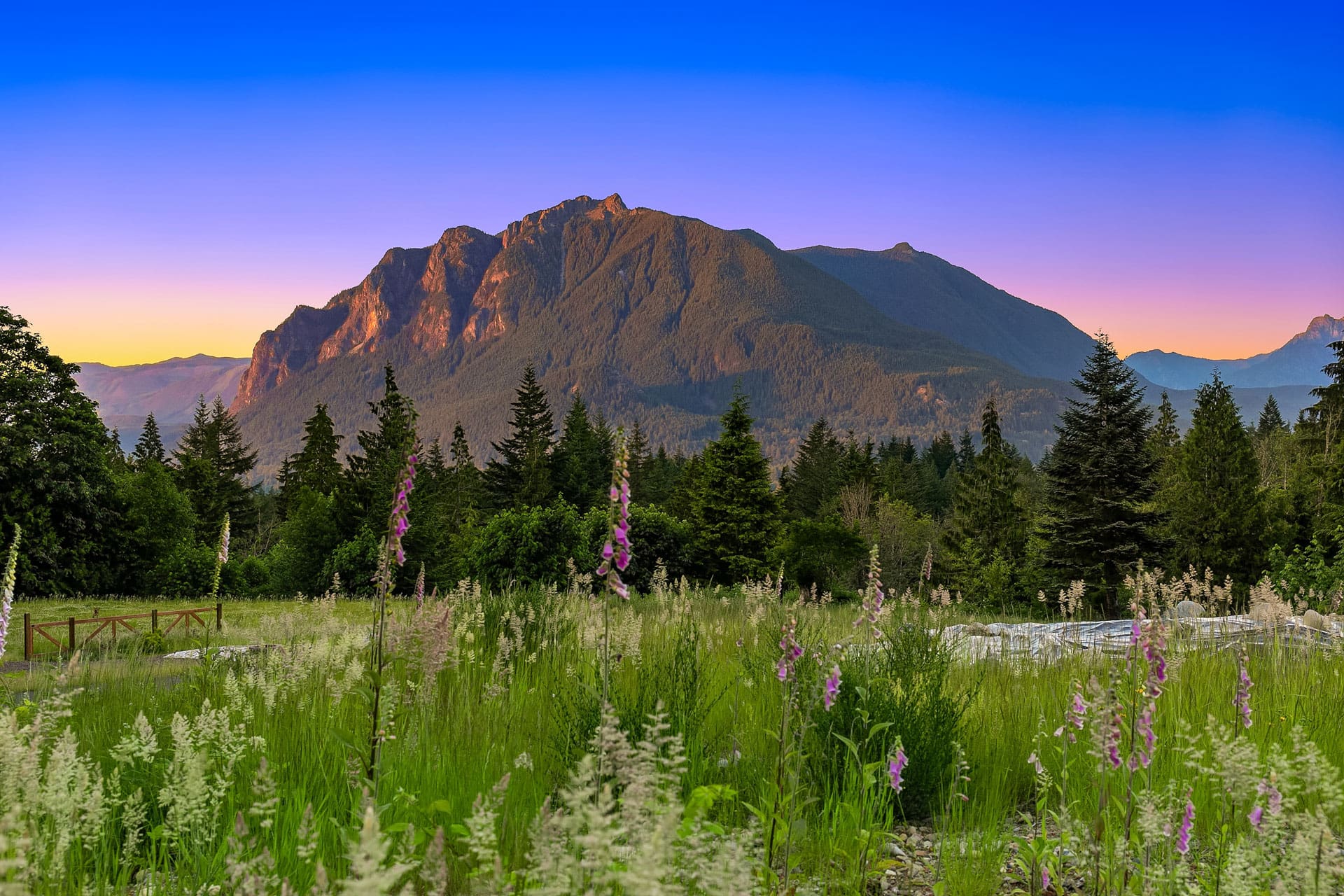 A scenic view of a mountain range at sunset, with a meadow in the foreground filled with green grass and purple flowers. The sky transitions from blue to a warm pink and orange near the horizon. Dense forest covers the lower slopes, with tall pine trees in abundance.