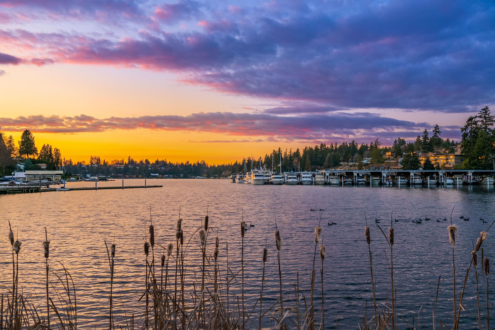 A serene lakeside sunset with a vibrant sky of purple, pink, and orange hues. The lake is calm, bordered by tall reeds in the foreground. On the right, boats are docked, and trees line the horizon, reflecting the colors of the sunset brilliantly.