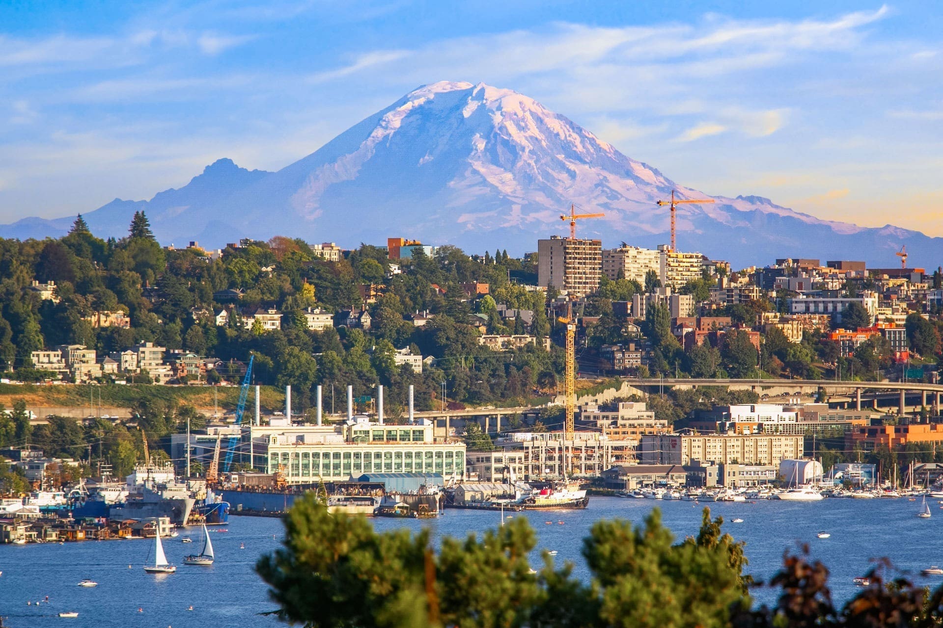 A scenic view of a large city with a waterfront, numerous boats, and buildings. Construction cranes are visible among the buildings. Dominating the background is a majestic snow-capped mountain under a clear blue sky. Lush greenery surrounds the city.