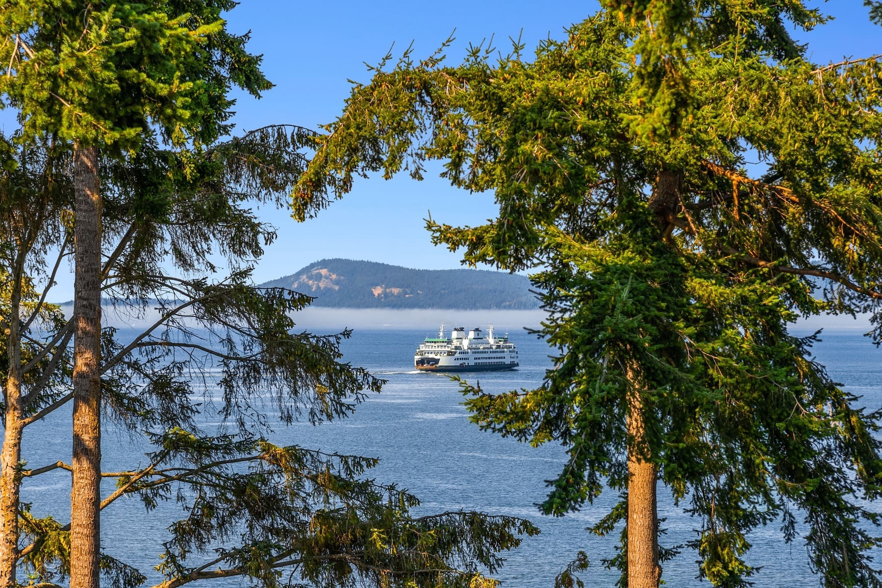 A scenic view of a ferryboat sailing on a calm body of water, framed by lush green trees in the foreground. In the background, there is a distant island with rolling hills under a clear blue sky.