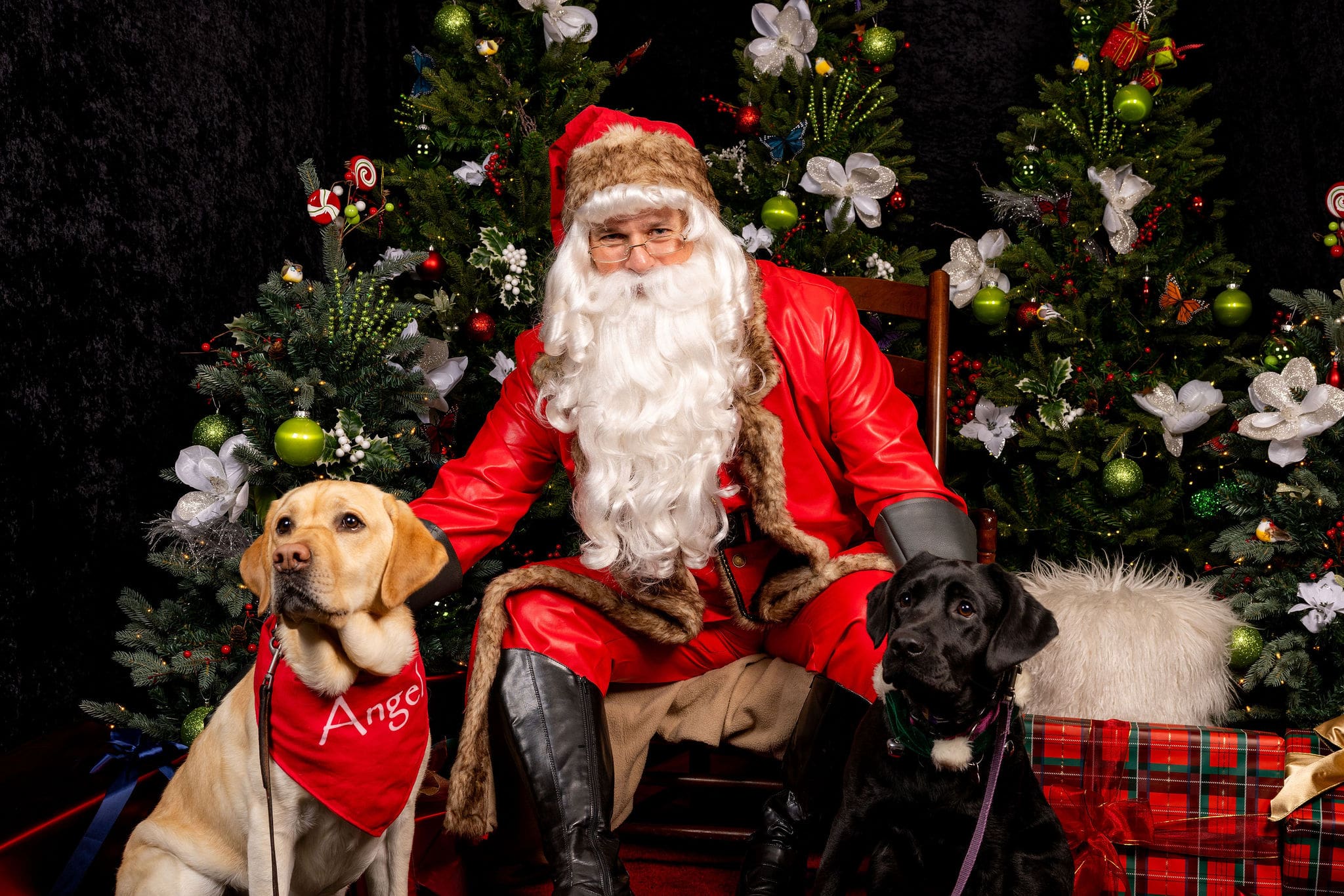 Seattle Real Estate Event Photography. Santa Claus posing with two dogs in festive attire, surrounded by decorated Christmas trees and presents, creating a cheerful holiday atmosphere.